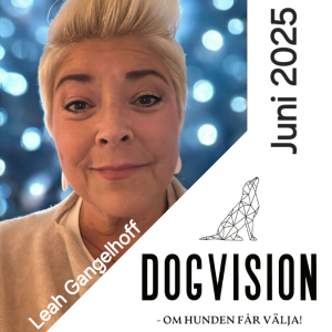 SLUTSÅLD! Containers -The Path to Reliability! LEAH GANGELHOFF 11-12 juni-2025 (Deltagare)