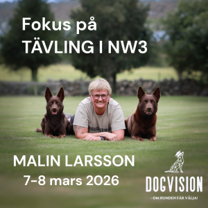 Workshop med MALIN LARSSON 7-8 mars 2026 "Fokus på TÄVLING i NW3" (Deltagare)