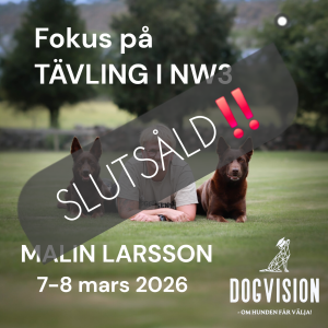 Workshop med MALIN LARSSON 7-8 mars 2026 "Fokus på TÄVLING i NW3" (Deltagare)