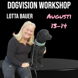 Workshop med LOTTA BAUER 13–14 augusti 2025 hos – "Otillgängliga gömmor" (Deltagare)