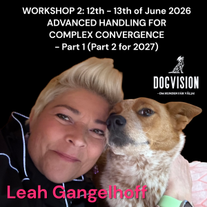 Advanced Handling for Complex Convergence - Part 1 LEAH GANGELHOFF 12-13 juni-2026 (Deltagare)