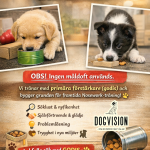 VALPNOS - För valpar på 3-8 månader! (FÖRMIDDAGS KURS)