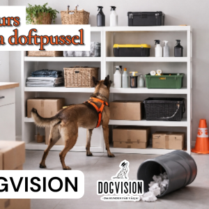 FÖRDJUPNING I KLURIGA DOFTPUSSEL 13/3 2026 (FÖRMIDDAG)