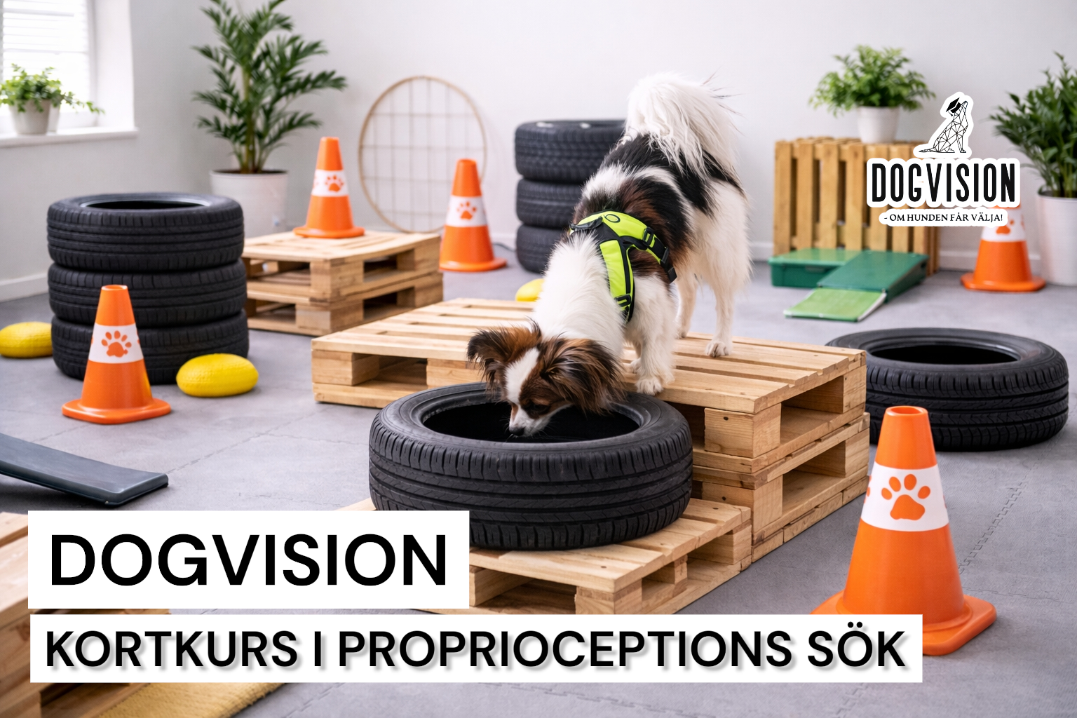 FÖRDJUPNING I PROPRIOCEPTIONS SÖK 10/4 2026 (EFTERMIDDAG)