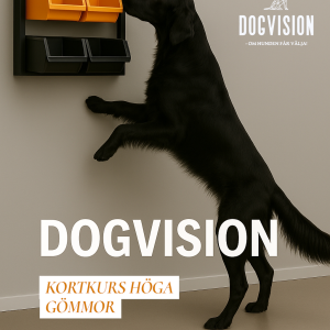 FÖRDJUPNING I HÖGA GÖMMOR 27/2 2026 (FÖRMIDDAG)