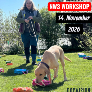 NW3 WORKSHOP MARIA ALZÉN-KRISTIANSSON 14 november 2026 (Åhörare plats!)